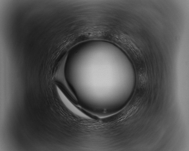 X0000097951250200803241146