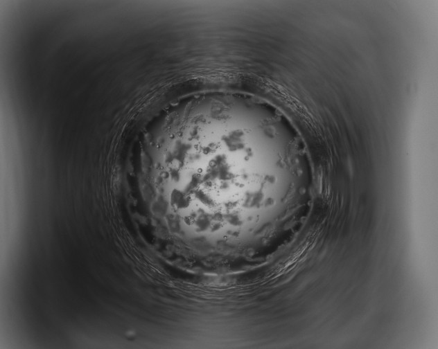X0000097951251200803241146