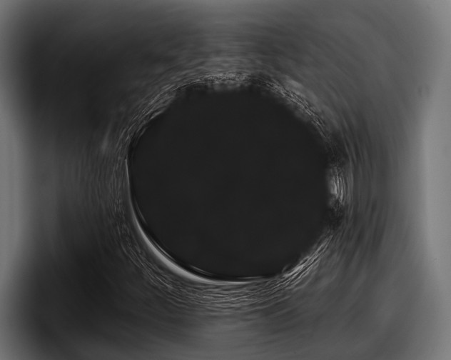 X0000097951252200803241146