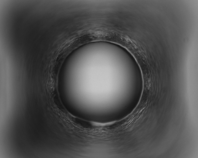 X0000097951253200803241146
