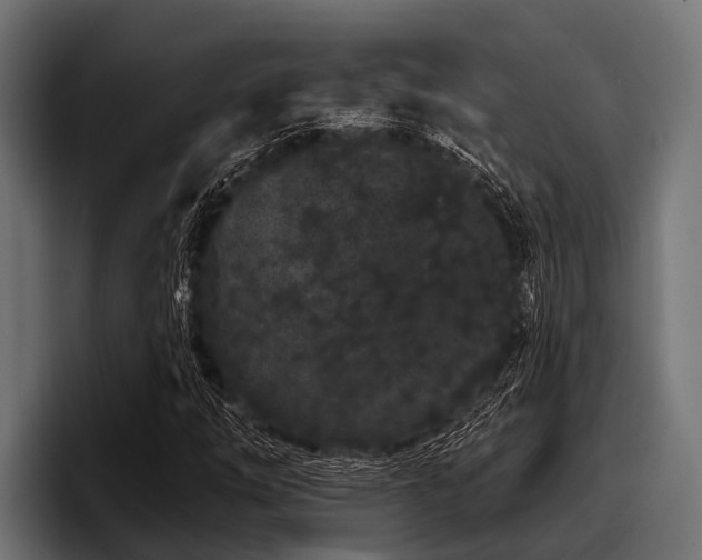 X0000097951254200803241146