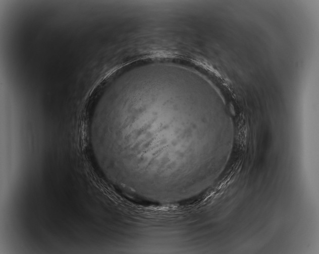 X0000097951255200803241146