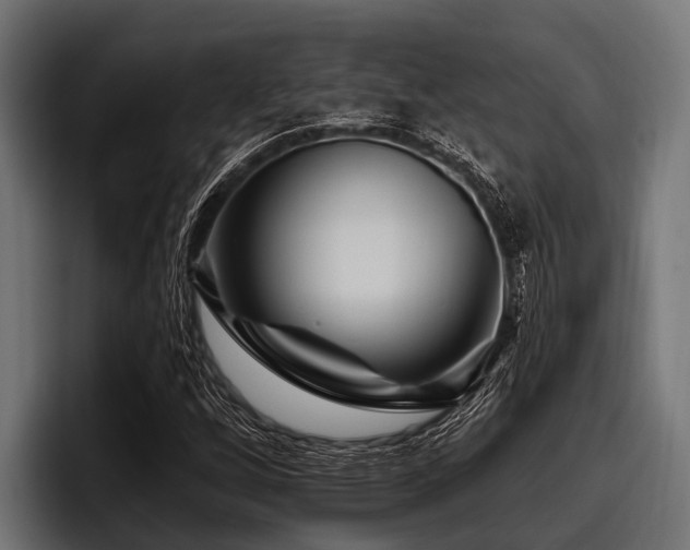 X0000097951256200803241146