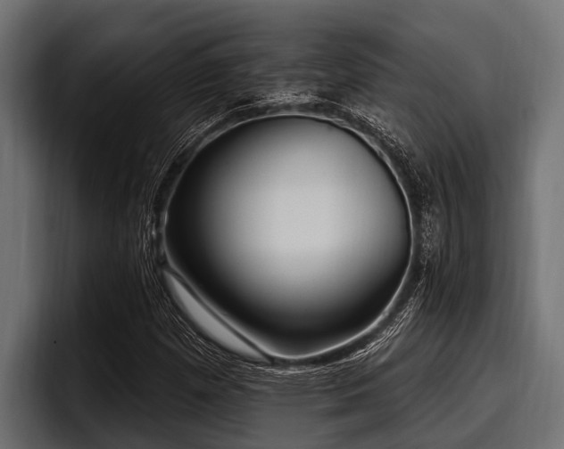 X0000097951257200803241146