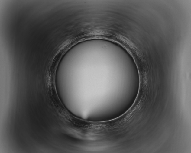 X0000097951258200803241146