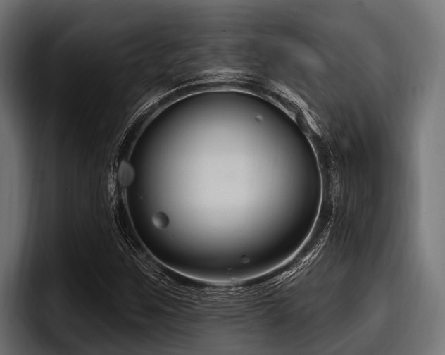 X0000097951259200803241146