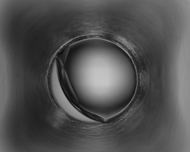 X0000097951260200803241146