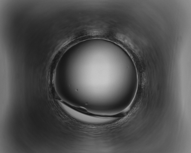 X0000097951261200803241146
