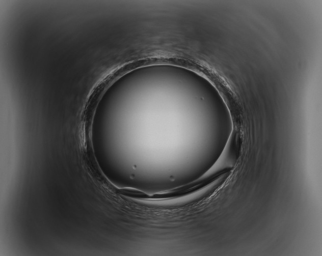 X0000097951262200803241146