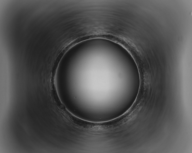 X0000097951265200803241146