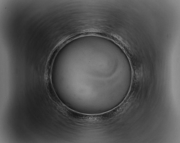 X0000097951266200803241146