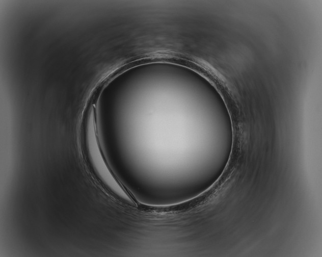 X0000097951269200803241146