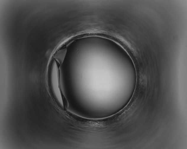 X0000097951270200803241146