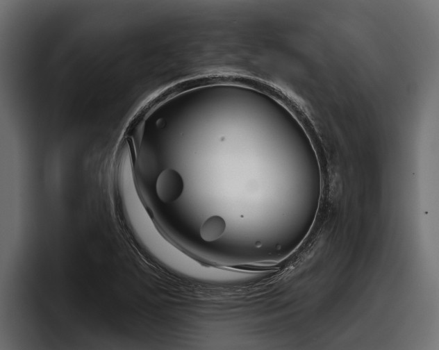 X0000097951271200803241146