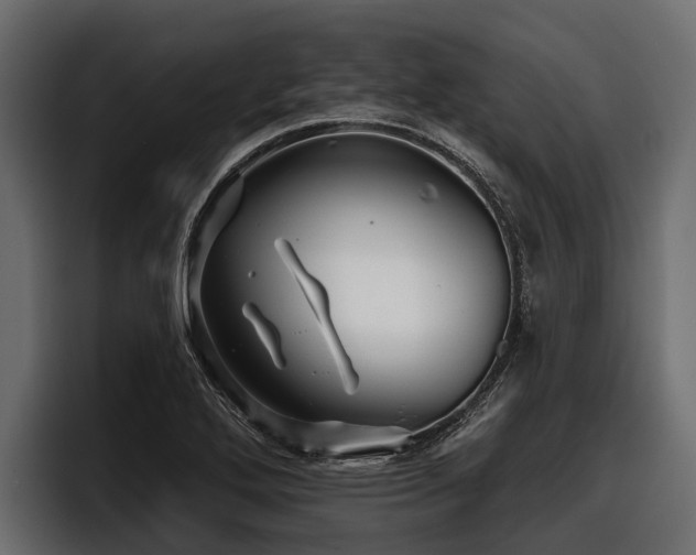 X0000097951272200803241146