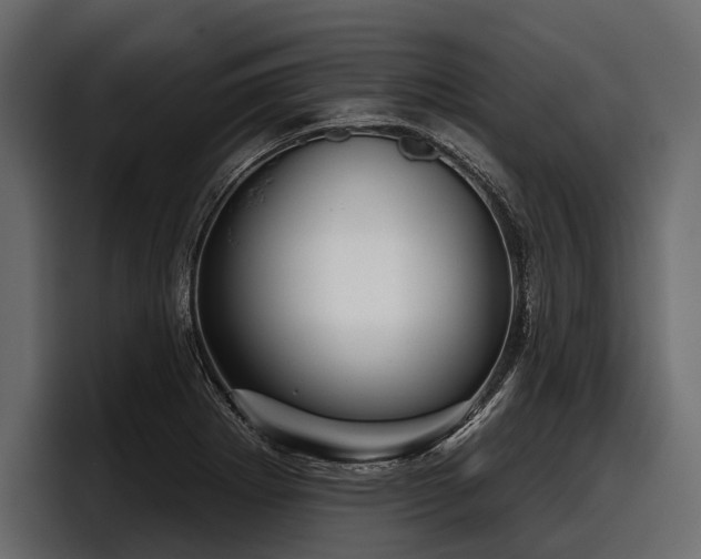 X0000097951273200803241146