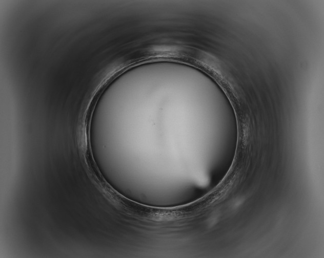 X0000097951274200803241146
