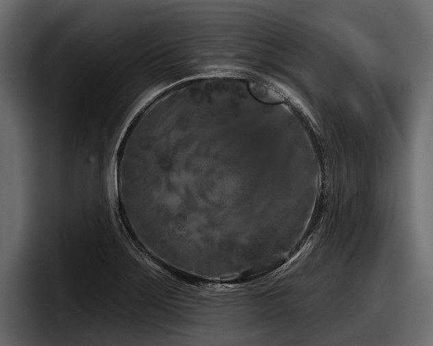 X0000097951275200803241146