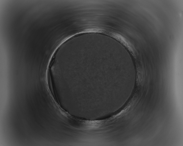 X0000097951276200803241146