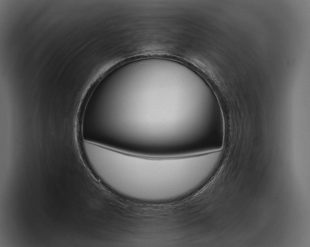 X0000097951277200803241146