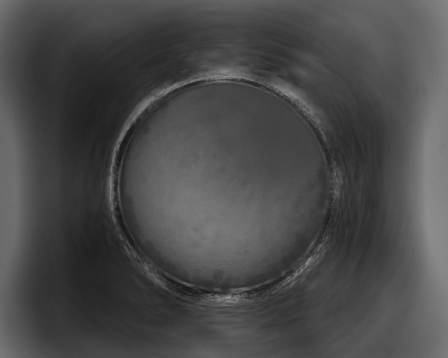 X0000097951278200803241146