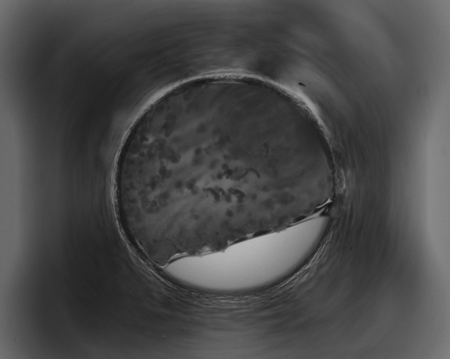 X0000097951279200803241146