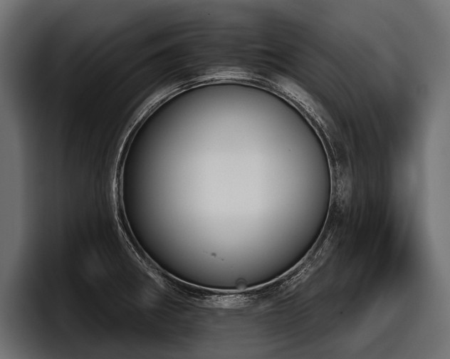 X0000097951282200803241146