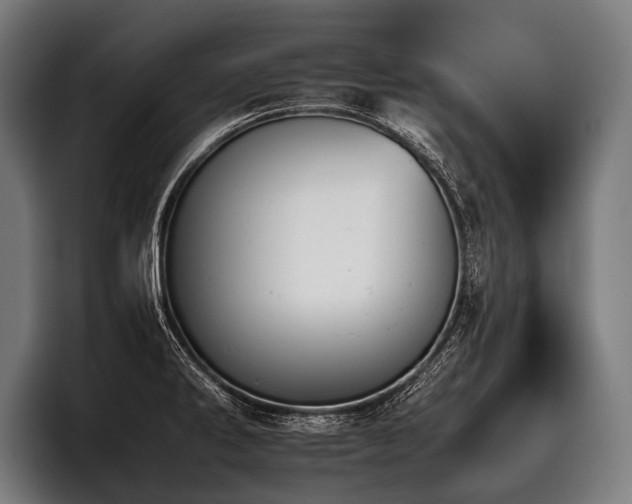 X0000097951286200803241146