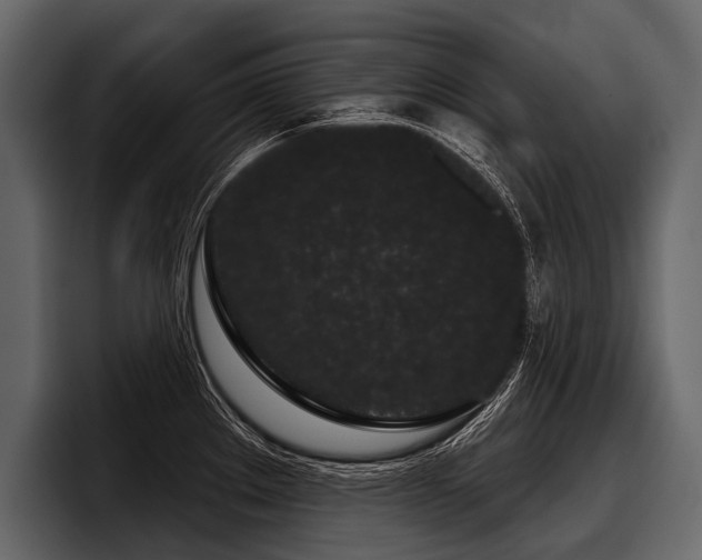 X0000097951289200803241146