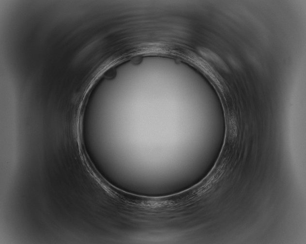 X0000097951290200803241146