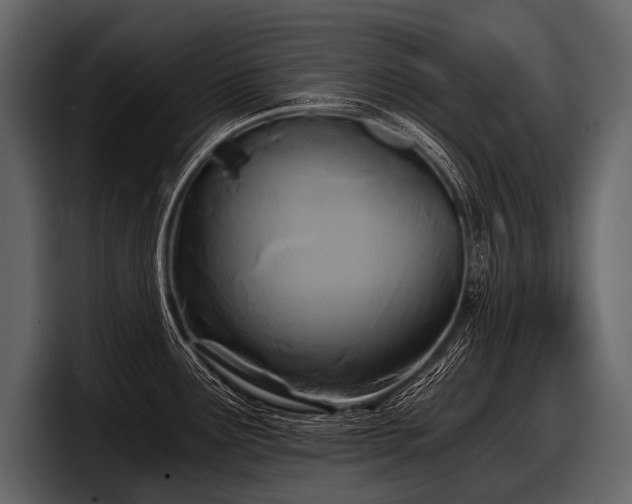 X0000097951291200803241146