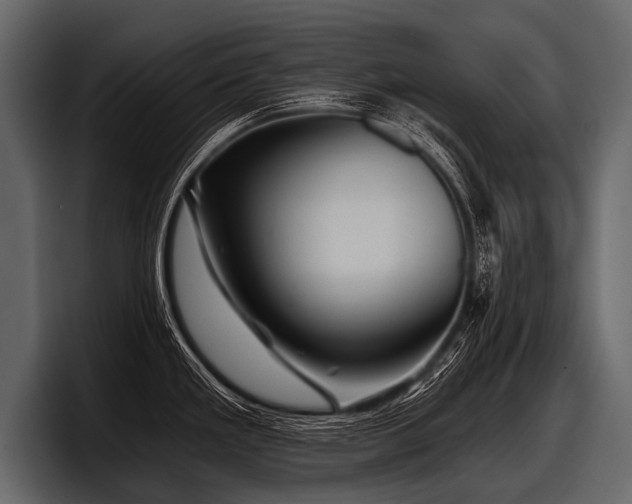 X0000097951293200803241146
