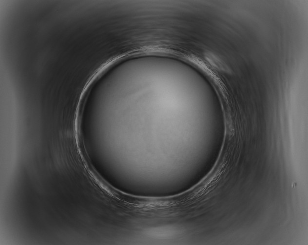 X0000097951294200803241146