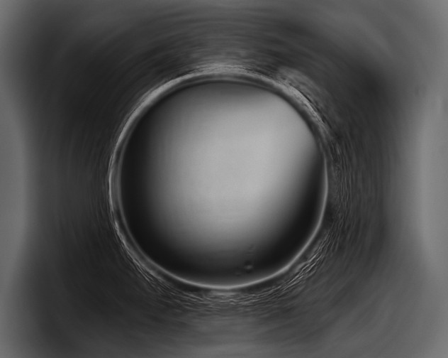 X0000097951295200803241146