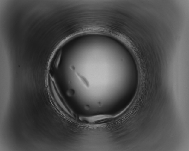 X0000097951296200803241146