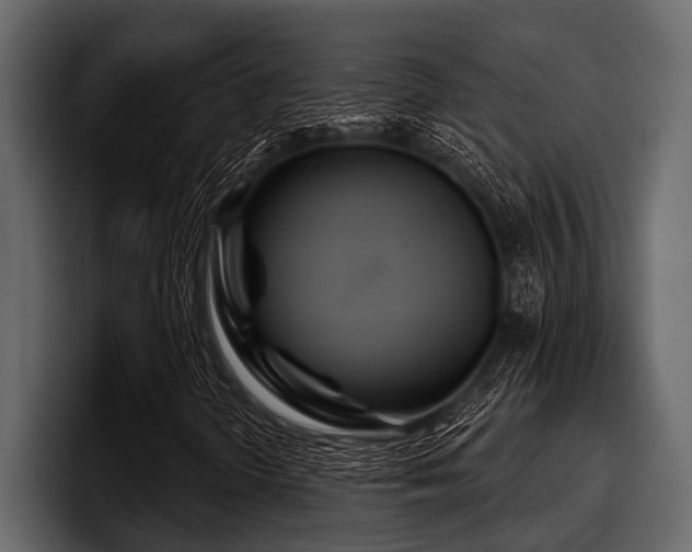 X0000097951298200803241145