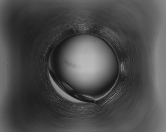 X0000097951299200803241145