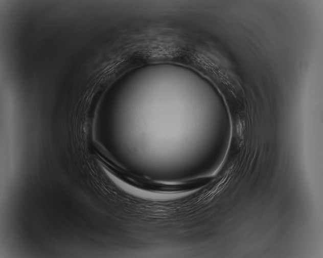 X0000097951300200803241145