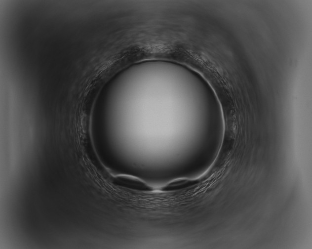 X0000097951301200803241145