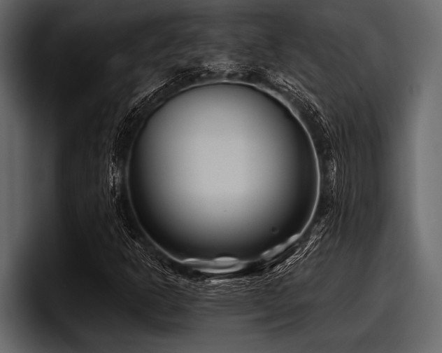 X0000097951302200803241145