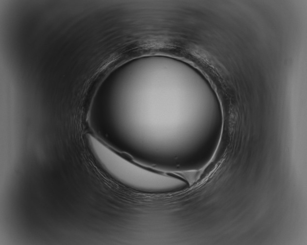 X0000097951305200803241145