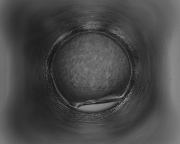 X0000097951306200803241145