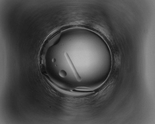 X0000097951308200803241145