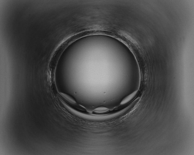 X0000097951310200803241145
