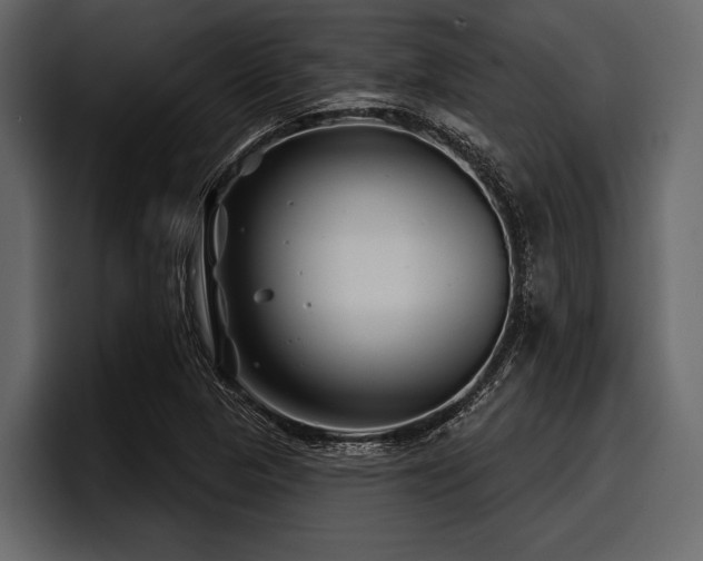 X0000097951313200803241145