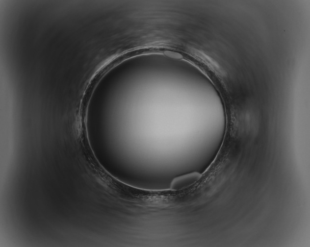 X0000097951316200803241145