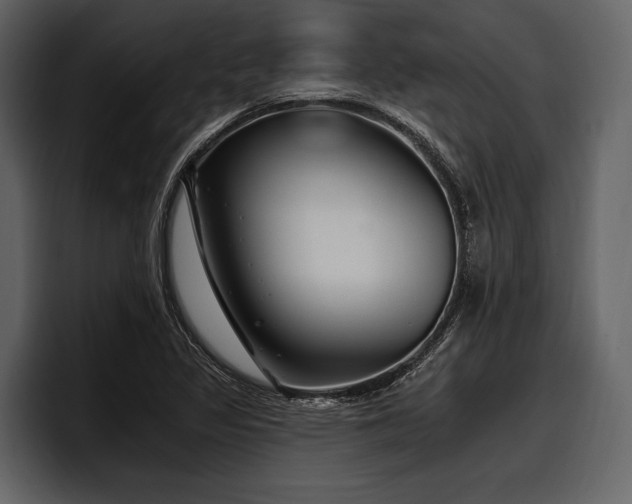 X0000097951317200803241145