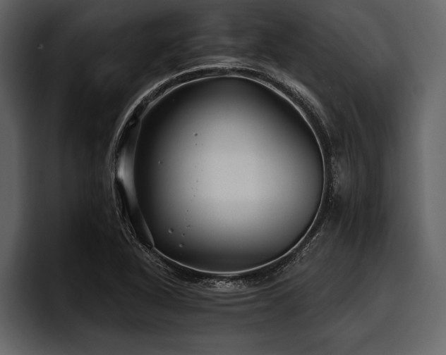 X0000097951318200803241146