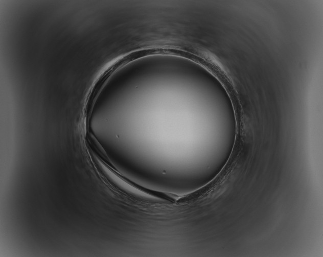 X0000097951320200803241146