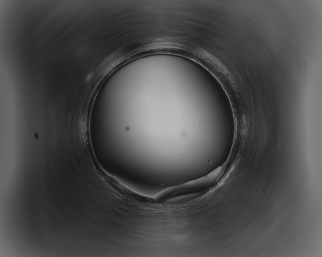 X0000097951321200803241146